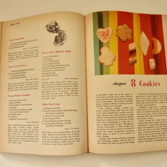 Vintage 1969 Pillsbury Family Cookbook MCM Recipes Illustrations Hardcover •US